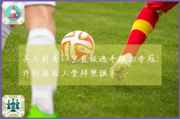 乒乓新秀17岁直板选手横扫夺冠：许昕接班人崇拜樊振东