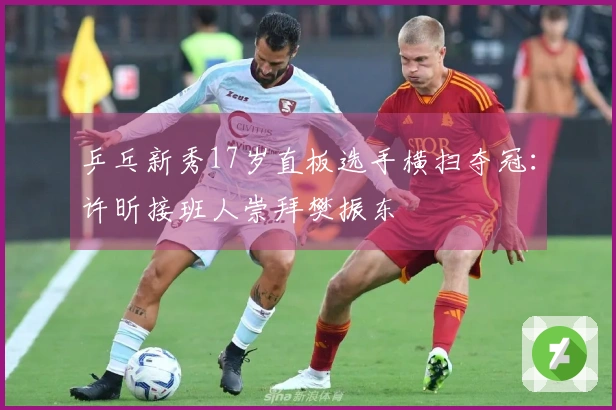 乒乓新秀17岁直板选手横扫夺冠：许昕接班人崇拜樊振东